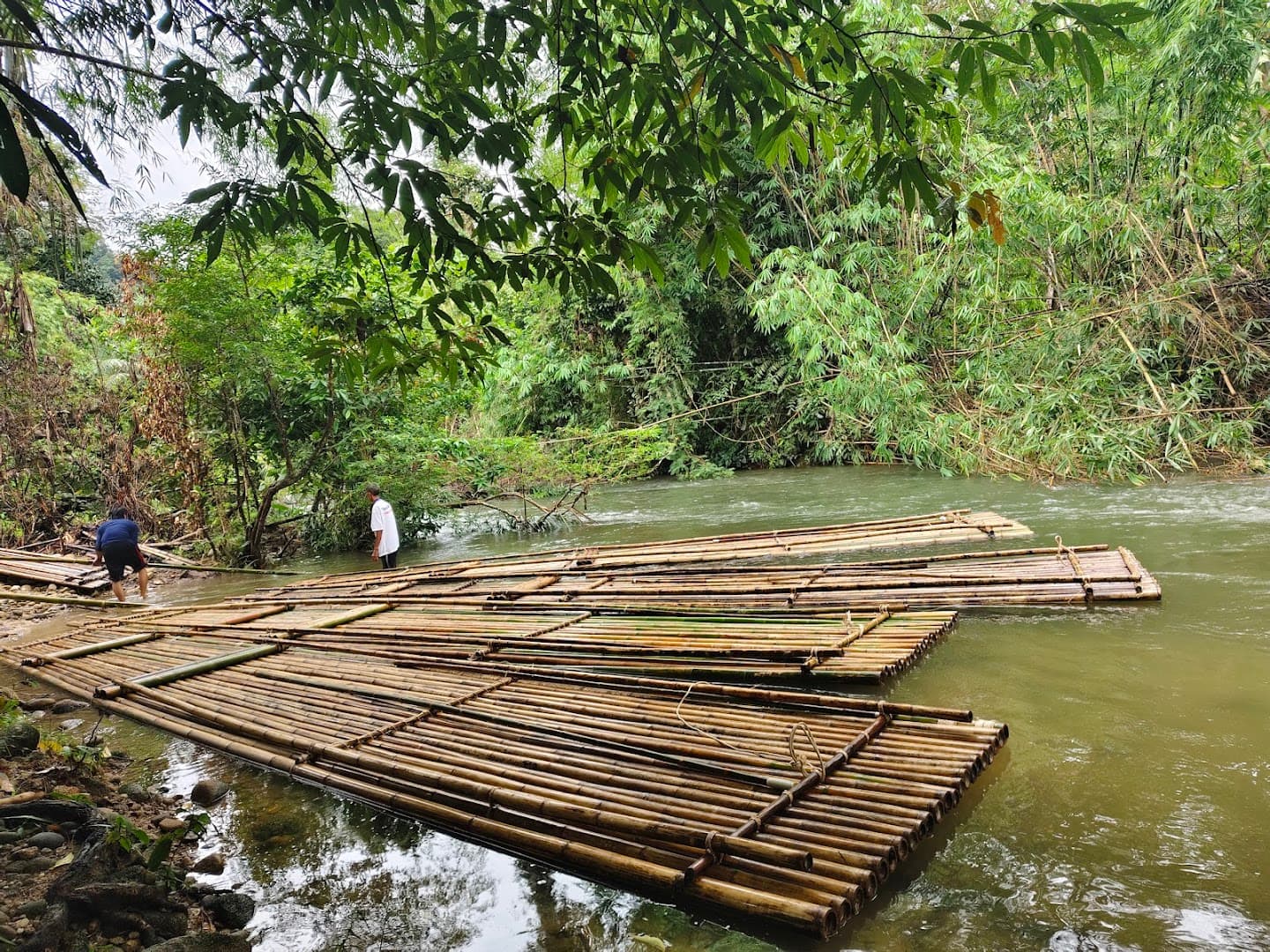Rafting & Jungle Adventure