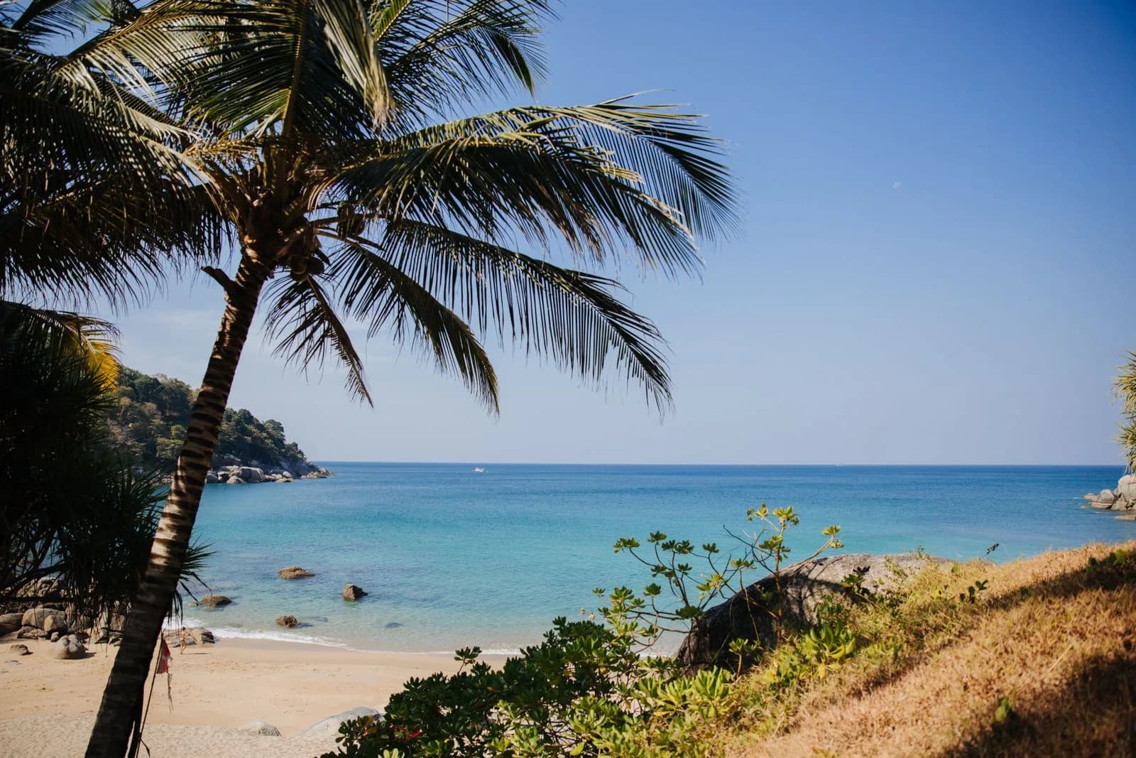 Flat, clear blue water along a quiet shoreline