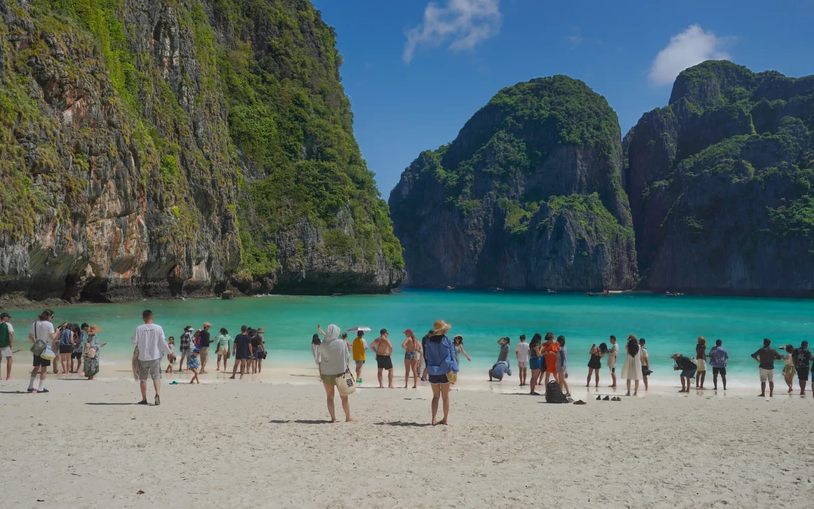 Visitors on the beach at Maya Bay below green cliffs